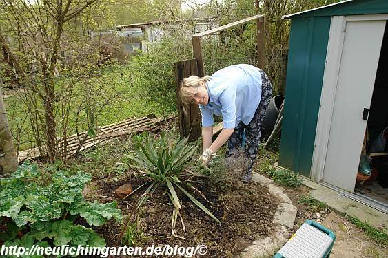Auch Schwanger Kann Man Noch Arbeiten Selbstversorgung Aus Dem Eignen Garten