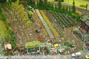 blumenhandel-im-miniaturwunderland