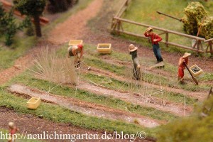 feldarbeit-im-miniaturwunderland-3