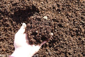 gaertnerglueck-kompost
