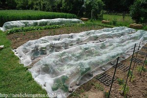 Gemüseschutznetz tunnel - Die hochwertigsten Gemüseschutznetz tunnel verglichen