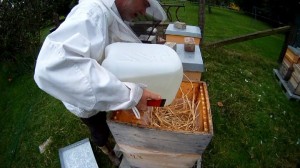 Bienen fuettern